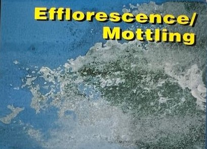 Effloressence Mottling